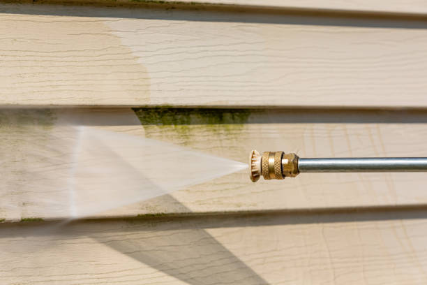 Best Pressure Washing Siding  in Cornell, WI