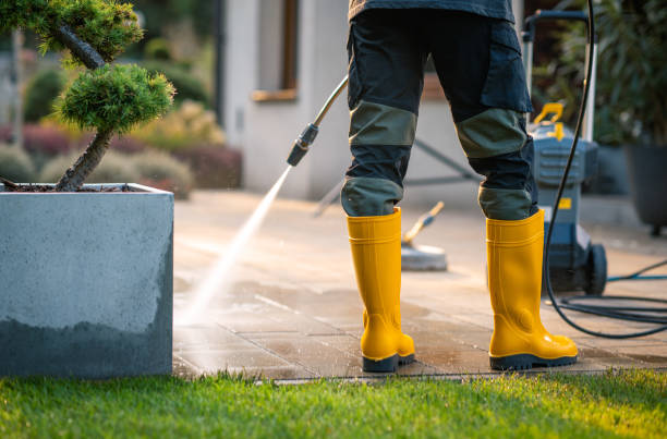 Fence Pressure Washing